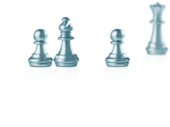 Cromme Coaching Pferdecoaching – Pferdegestützte Persönlichkeitsentwicklung: Teamcoaching
