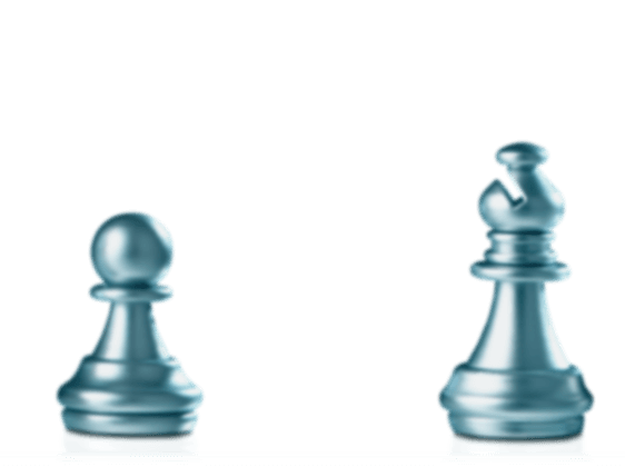 Cromme Coaching Pferdecoaching – Pferdegestützte Persönlichkeitsentwicklung: Teamcoaching