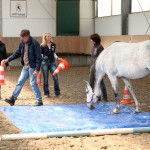 Cromme Coaching (Johanna Cromme) – Pferdegestützte Persönlichkeitsentwicklung / Pferdecoaching / Coaching mit Pferden: Teamcoaching, Einzelcoaching u.v.m.