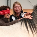 Cromme Coaching (Johanna Cromme) – Pferdegestützte Persönlichkeitsentwicklung / Pferdecoaching / Coaching mit Pferden: Teamcoaching, Einzelcoaching u.v.m.